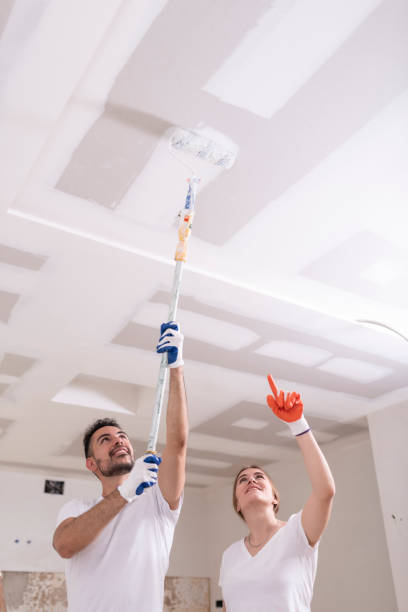 Best HVAC Mold Inspection and Cleaning  in Fallon, NV