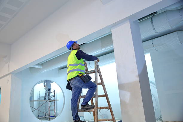  Fallon, NV Mold Removal Pros