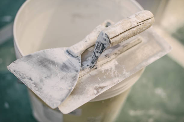 Best Mold Prevention Services  in Fallon, NV